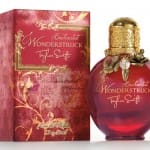 wonderstruck enchanted