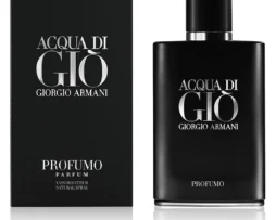 Giorgio Armani Acqua Di Gio Profumo
