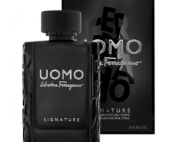 Salvatore Ferragamo Uomo Signature
