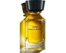 Omanluxury Oud Aquilaria