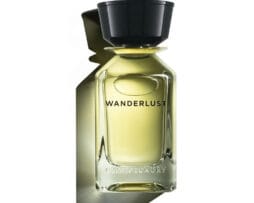 Omanluxury Wanderlust